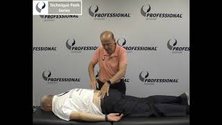 How to Test Passive Lumbar Spine Rotation  Technique Peek Series [upl. by Zerelda]