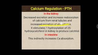 Calcium regulation in blood [upl. by Nnaasil239]