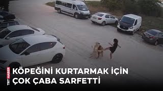 Köpeğini gezdiren kadına başıboş köpek saldırdı [upl. by Horick]