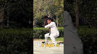 Bajiquan training the most combative Chinese martial art kungfu bajiquan [upl. by Christel46]