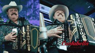 La Rama del mesquite  Ramon Ayala [upl. by Hardner573]