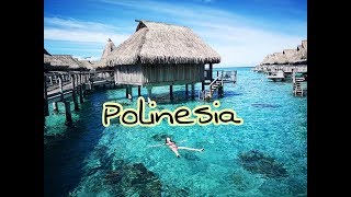 Polinesia  Moorea [upl. by Becht975]