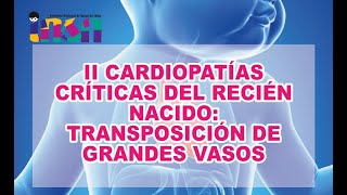 II Cardiopatías críticas del recién nacido Transposición de Grandes Vasos [upl. by Timi]