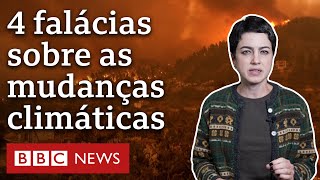 Aquecimento global 4 afirmações sobre as mudanças climáticas que a ciência desmentiu [upl. by Aivatco8]