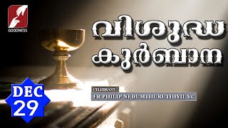 HOLY MASS LIVE  6 AM 29 DEC 2023FR PHILIP NEDUMTHURUTHIYIL VCMALAYALAM QURBANATODAYGOODNESS TV [upl. by Rimas]