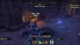 Elder Scrolls Online  Warden Starting Alikr Desert Ep34 [upl. by Wynne272]