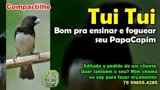 tuitui Pra ensinar e Foguear seu papacapim [upl. by Rehm]