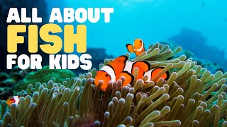 All about Fish for Kids  Learn the characteristics of fish  What is a fish [upl. by Apps]