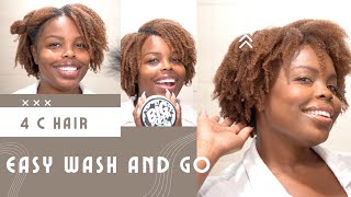 Easy Wash and Go for 4c Natural Hair  Quick Wash and Go Natural Hair Routine [upl. by Livvy]