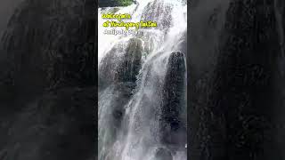 WATERFALLS AT HINULUGANG TAKTAK  Antipolo City shorts [upl. by Ellmyer]