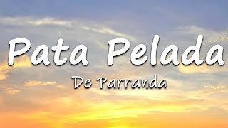 Pata Pelada  Música Cumbias Vibrantes LetraLyrics [upl. by Omoj]