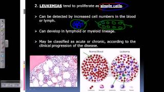 Leukemia and lymphoma [upl. by Auqinihs850]