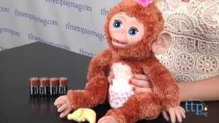 FurReal Friends Cuddles My Giggly Monkey from Hasbro [upl. by Gayleen]