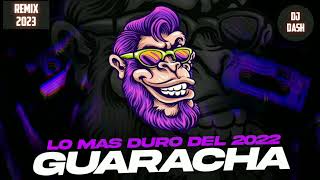 DJDASHGUARACHA REMIX 2023 [upl. by Phiona779]