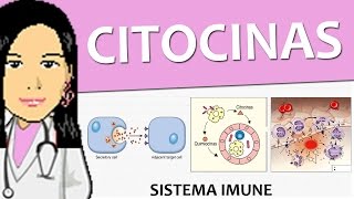 Imunologia 03  Citocinas Imunidade inata  Vídeo aula de sistema imune [upl. by Nirat748]