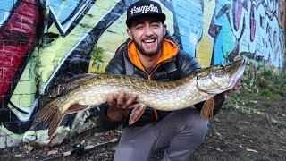 TOP 8 MOMENTS so far  Snagged Bro  Pike Fishing [upl. by Ateuqahs]