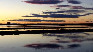 Lundberg Rice Fields at Sunset [upl. by Dael]