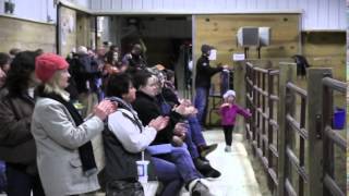 Equine Science Program  M State Fergus Falls and Red Horse Ranch [upl. by Neneek]