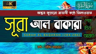 সূরা বাকারার শেষ তিন আয়াত বাংলা উচ্চারণ ও অর্থসহ  Surah Al Baqarah Tilawat  Salim Bahanan [upl. by Geer]