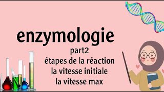 enzymologie  la cinétique enzymatique part 2 [upl. by Britt459]