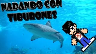 Nadando con Tiburones Zoologico Guadalajara [upl. by Trautman844]