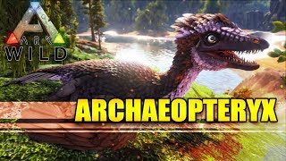 ARK WILD  ARCHAEOPTERYX  The Living GLIDER and SAP Farmer [upl. by Viking351]