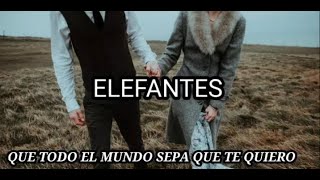 ELEFANTES Que todo el mundo sepa que te quiero letra de la canción [upl. by Nosnorb262]