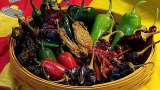 POPULAR MEXICAN CHILES  Knowing Them Is Loving Them  Step By Step ❤ [upl. by Otnicaj418]