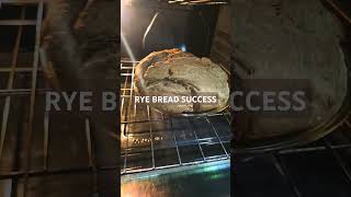 rye bread success baking ryebread [upl. by Bonner]