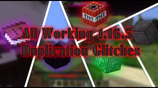 Minecraft Java 1165 All Working Multiplayer Duplication Glitches Realms amp Paper [upl. by Quartana]