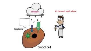 antiseptic vs disinfectant [upl. by Staley]