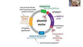 Molecular cloning overview  techniques amp workflow [upl. by Emsmus]