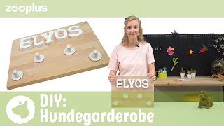 DIY Hundegarderobe selber machen  Tierisch einfach DIY mit Luisa  zooplus [upl. by Ruffi]