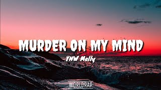 YNW Melly  Murder On My Mind Lyrics [upl. by Brookes]