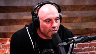 Joe Rogan Responds To Sam Seders Firing At MSNBC [upl. by Suoirrad]