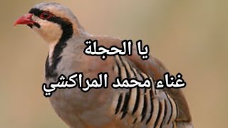 يا الحجلة  غناء محمد المراكشي [upl. by Glass]