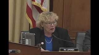 Rep Zoe Lofgren on High Skilled Workers and Immigration Reform [upl. by Anad997]