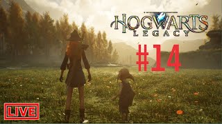 Hogwarts Legacy  Part 14  Live Stream Full Walkthrough RoyALGaMzoYt [upl. by Trescha]