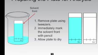 Thin Layer Chromatography  Performing an Analysis [upl. by Lokin762]