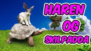 Haren og Skilpadda 🐰🦔Norske folkeeventyr  Eventyr for barn [upl. by Ilbert]