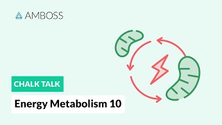 Energy Metabolism  Part 10 Gluconeogenesis Reactions with molecular structures [upl. by Orgel591]