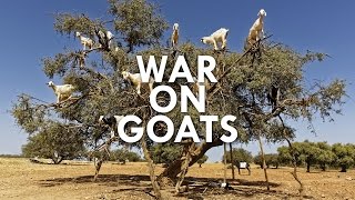 The War on Goats [upl. by Nimra55]