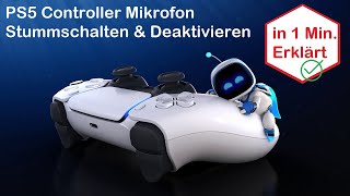 PS5 Controller Mikrofon STUMM schalten  Deaktivieren ❗️ [upl. by Alabaster]