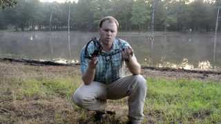 Fur Trapping Quick Tip 9 [upl. by Marwin]