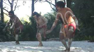 Australian Aboriginal Crane Dance [upl. by Airotciv]