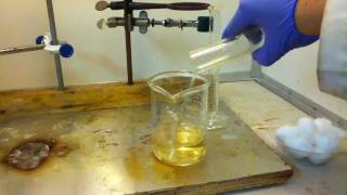 Real Chem Synthesis Of Nitrocellulose [upl. by Ennyl304]