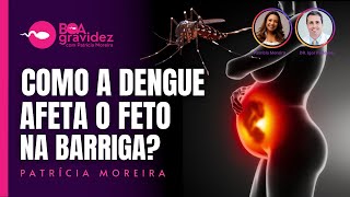 DENGUE  O que a dengue pode causar para o feto [upl. by Ecire]