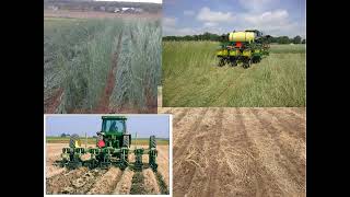 NECCC Webinar Cover crops and herbicide carryover concerns 100224 [upl. by Etnwahs]