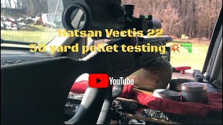 Hatsan Vectis 22 50 yard pellet testing hatsan hatsanvectis hatsanpcp hatsanairrifles [upl. by Ailisab58]