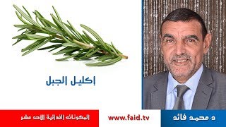 إكليل الجبل ROSEMARY  الدكتور محمد فائد [upl. by Eerrehc]